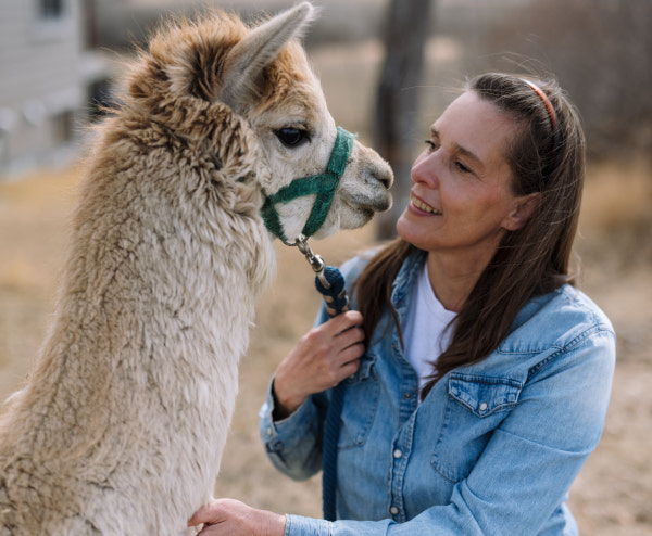 an alpaca meeting claudia hehr