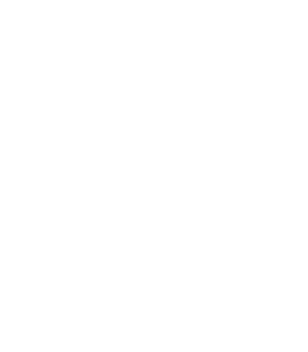 national post logo